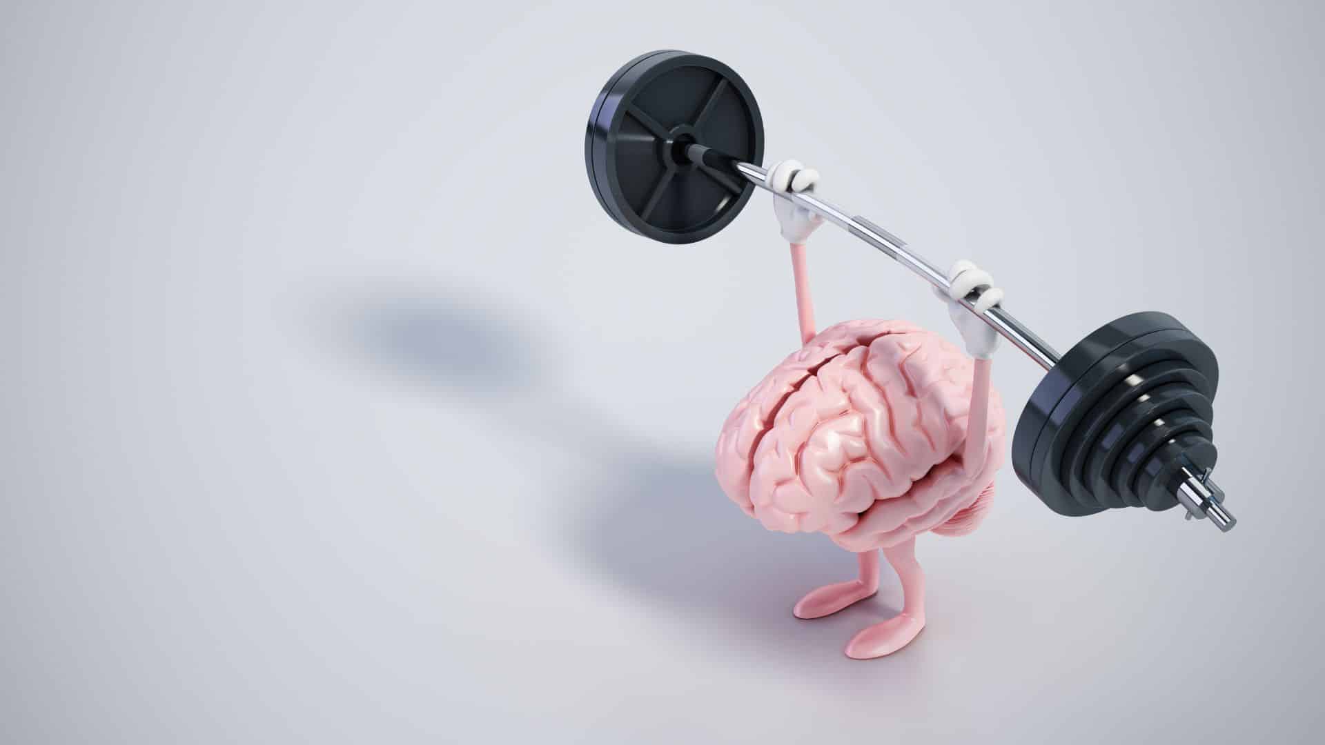 Creatine boosts cognitive function