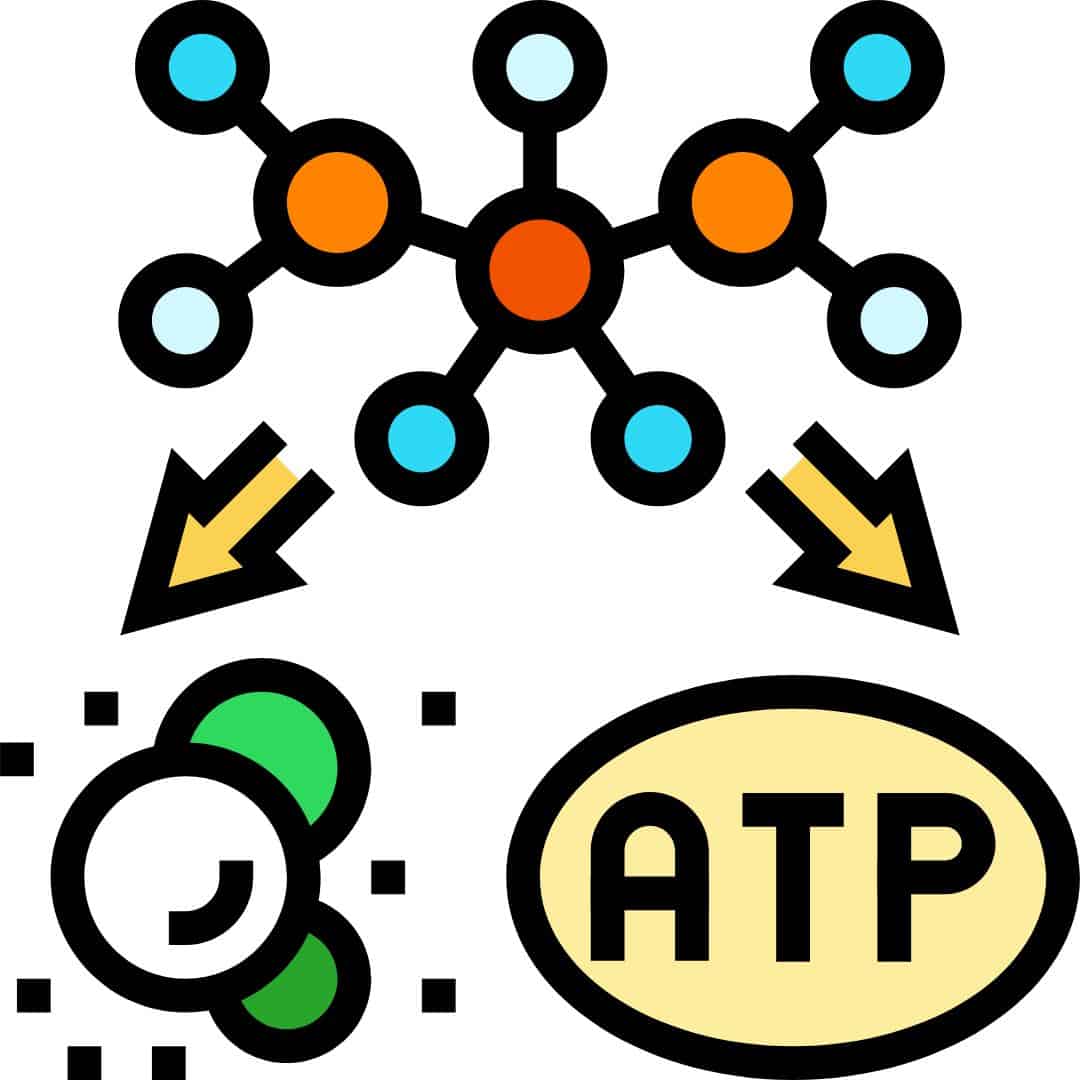 Catabolism: Breaking process of metabolism
