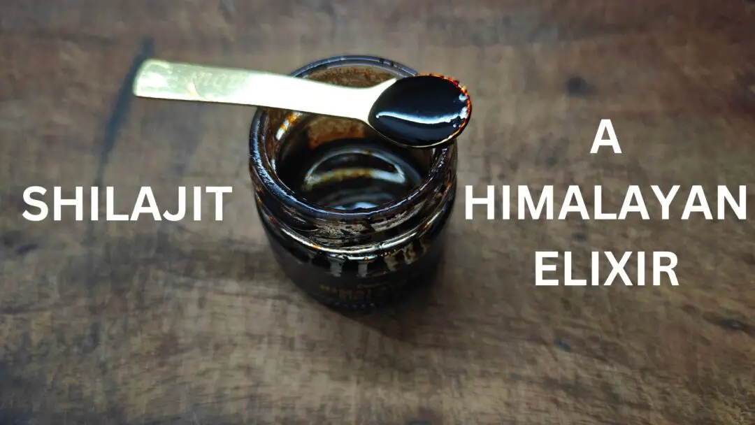 Shilajit: A Deep Dive Into The Himalayan Elixir